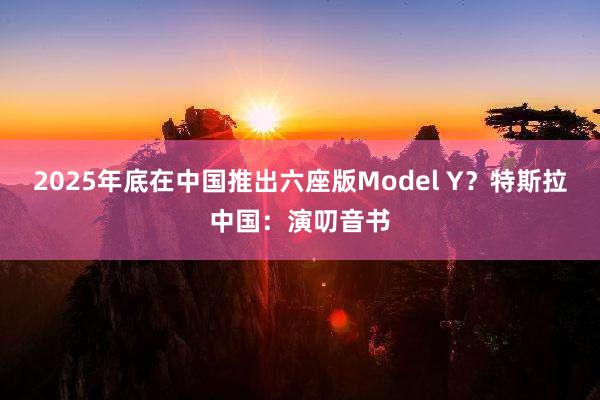 2025年底在中国推出六座版Model Y？特斯拉中国：演叨音书