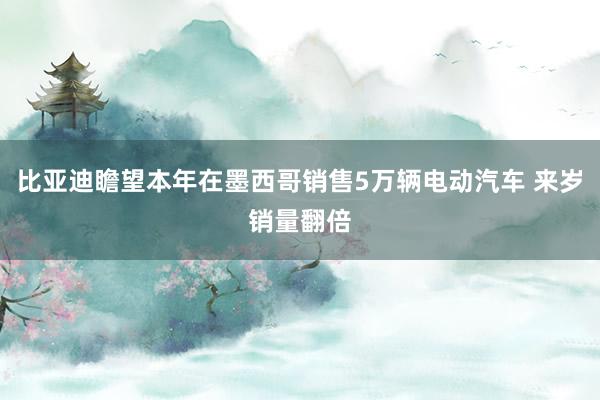 比亚迪瞻望本年在墨西哥销售5万辆电动汽车 来岁销量翻倍