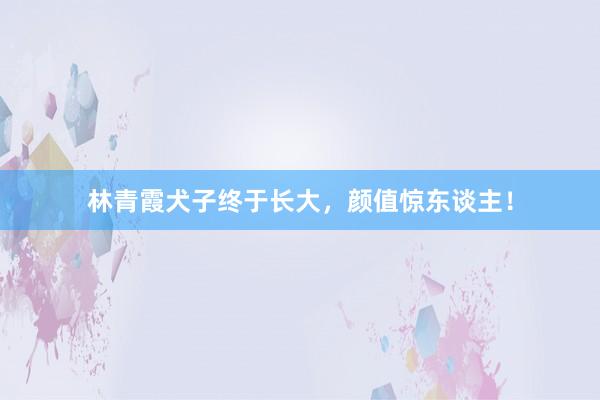 林青霞犬子终于长大，颜值惊东谈主！