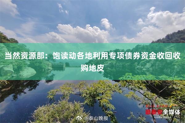 当然资源部：饱读动各地利用专项债券资金收回收购地皮