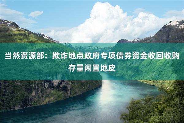 当然资源部：欺诈地点政府专项债券资金收回收购存量闲置地皮