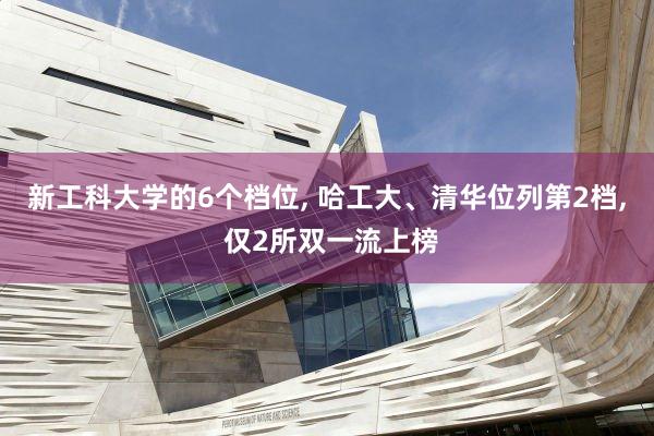 新工科大学的6个档位, 哈工大、清华位列第2档, 仅2所双一流上榜