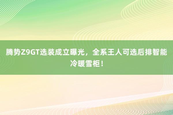 腾势Z9GT选装成立曝光，全系王人可选后排智能冷暖雪柜！